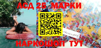 прущие грибы Будённовск
