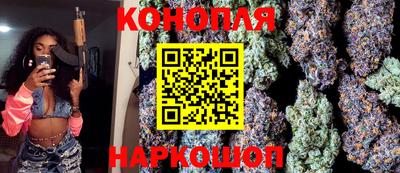 прущие грибы Будённовск