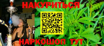 прущие грибы Будённовск