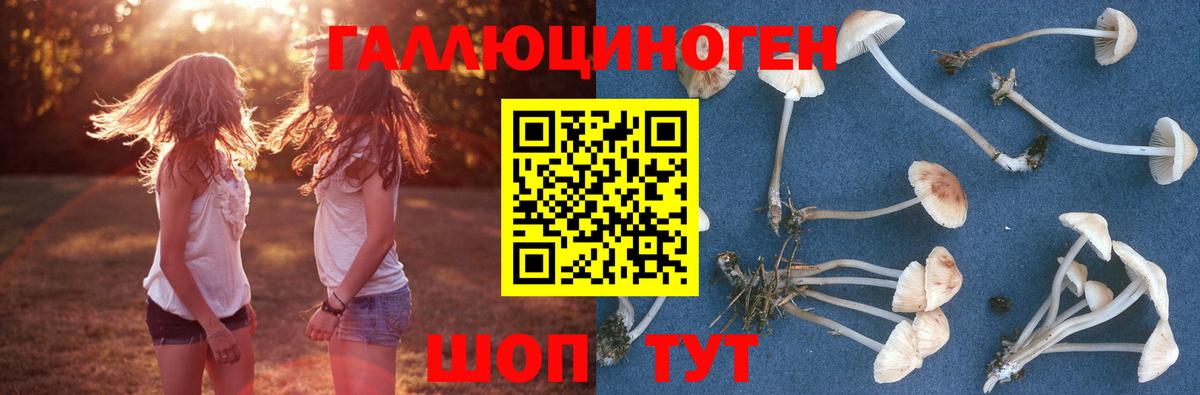 Псилоцибиновые грибы мицелий Рыбинск